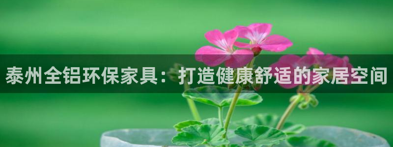 杏耀平台怎么注册：泰州全铝环保家具：打造健康舒适的家居空间