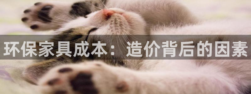 杏耀平台登录入口
