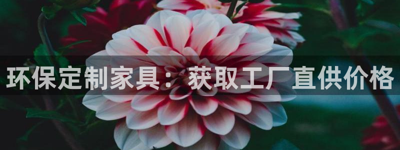 杏耀注册中心