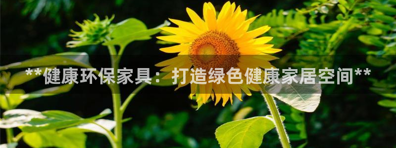 杏耀平台测