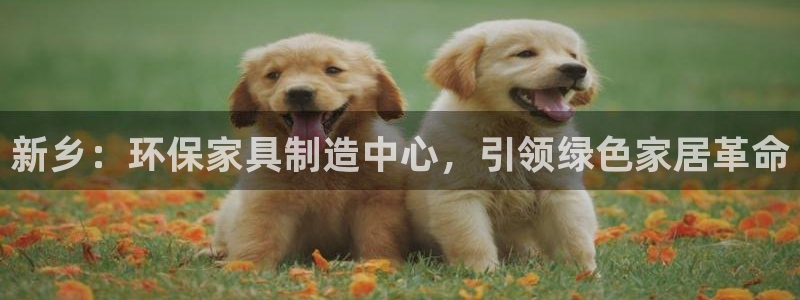 杏耀线路测速登录中心