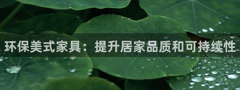 杏耀网页手机登录：环保美式家具：提升居家品质和可持续性