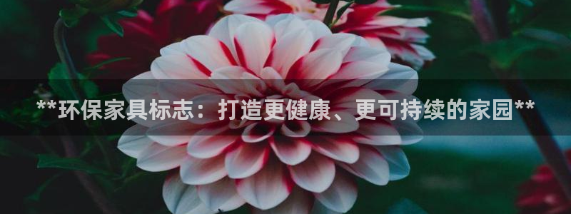 杏耀平台网站是什么
