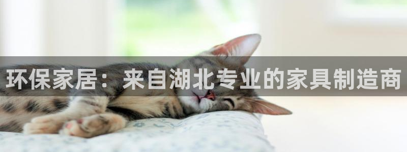 杏耀平台手机