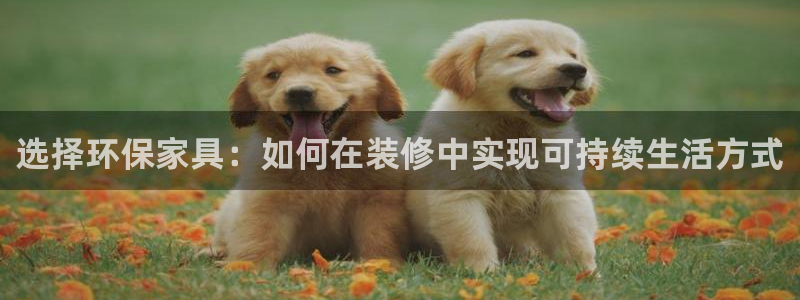 杏耀官网娱乐