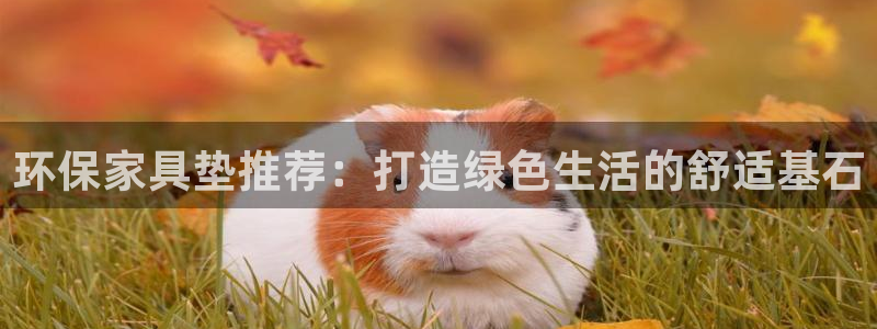 杏耀登入测速