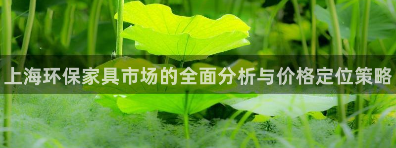 杏耀平台代理注册多少钱一年：上海环保家具市场的全面分析与价格