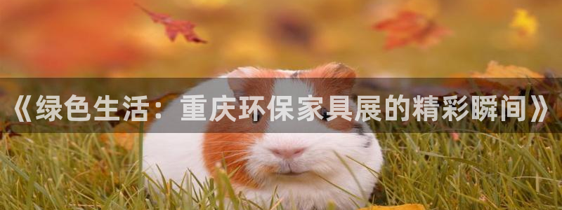 杏耀测速网址电脑版